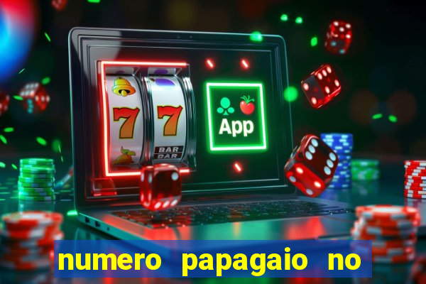 numero papagaio no jogo do bicho